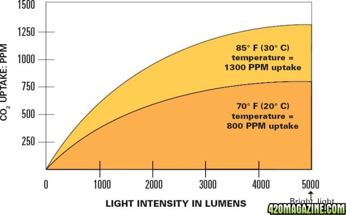 Light uptake vs. CO2