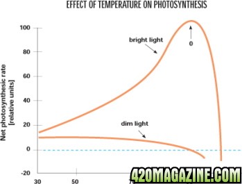 Light vs. temperatures