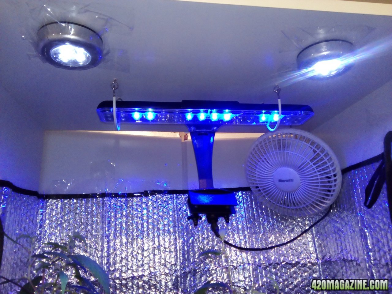 Lights and fan