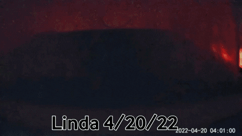 Linda Sprout 420.gif