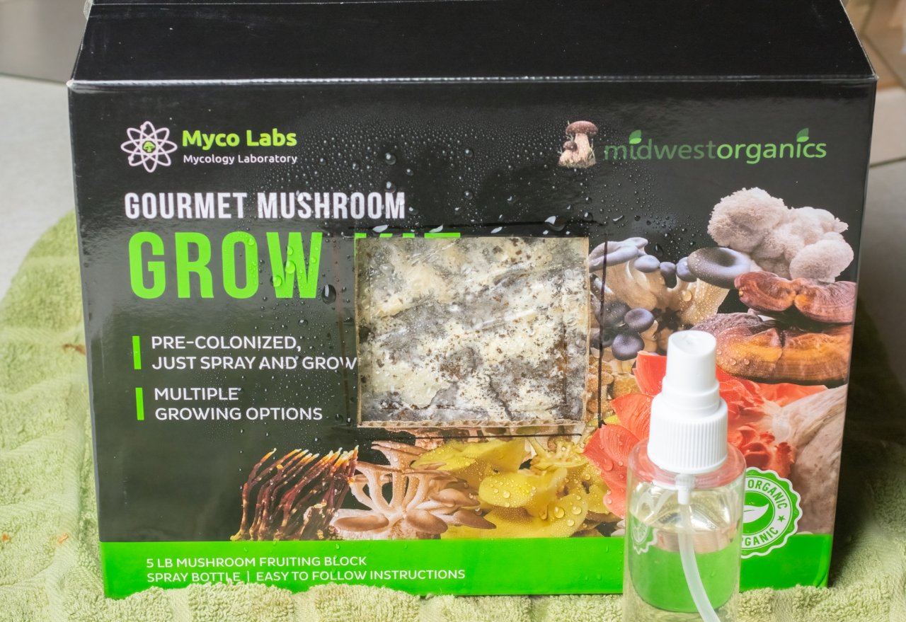 Lion's Mane Gourmet Mushroom Kit-4.jpg