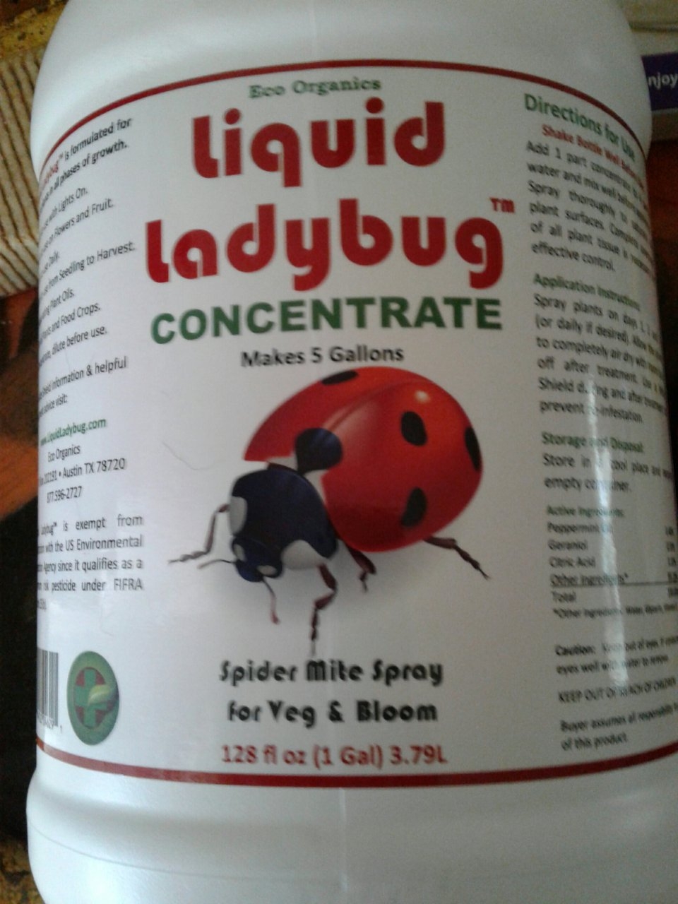 Liquid Ladybug