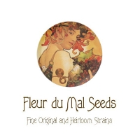 Logo-Fleur-du-Mal-cannabisseeds-hanfsamen.jpg
