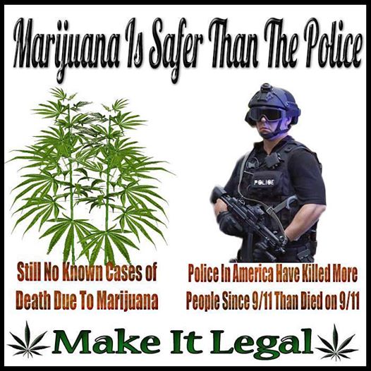 marijuana-safer-police-meme