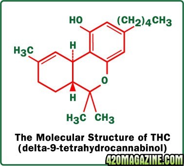marijuana-thc-molecule