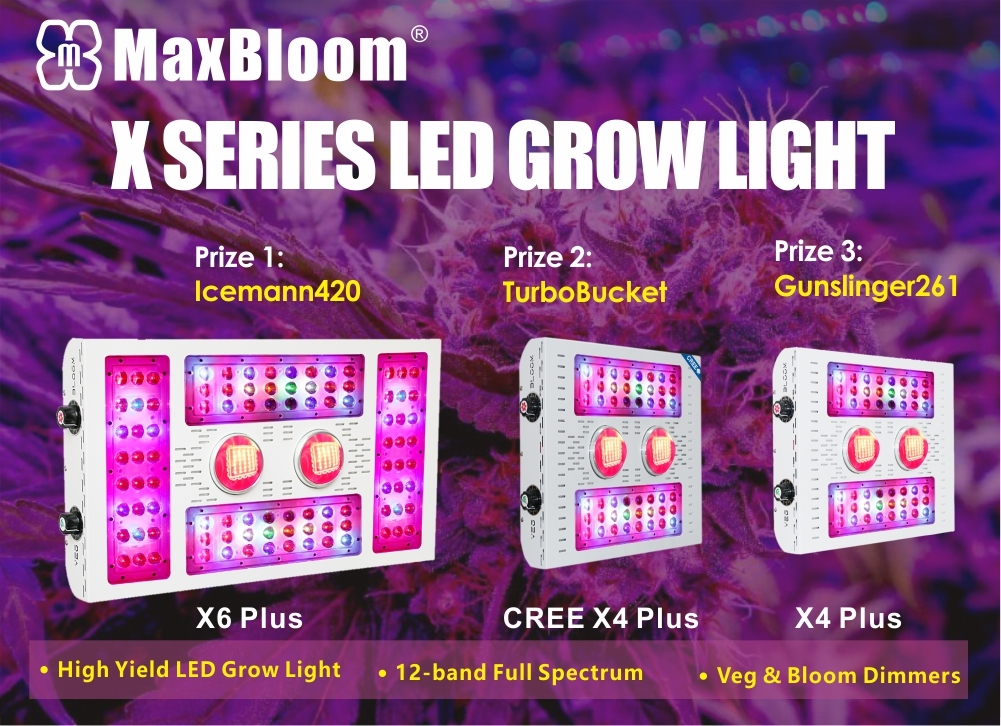 MaxBloom LED Grow Lights Winner.jpg