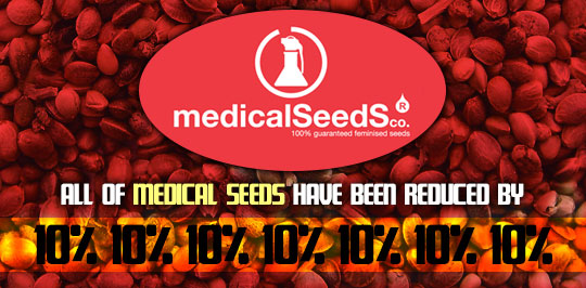 Medical Seeds Offer
