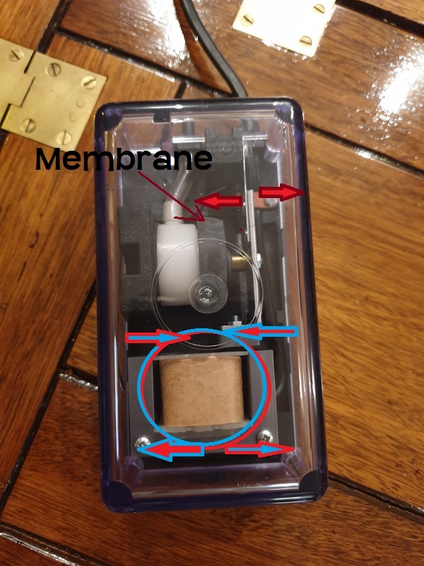 membrane.jpg