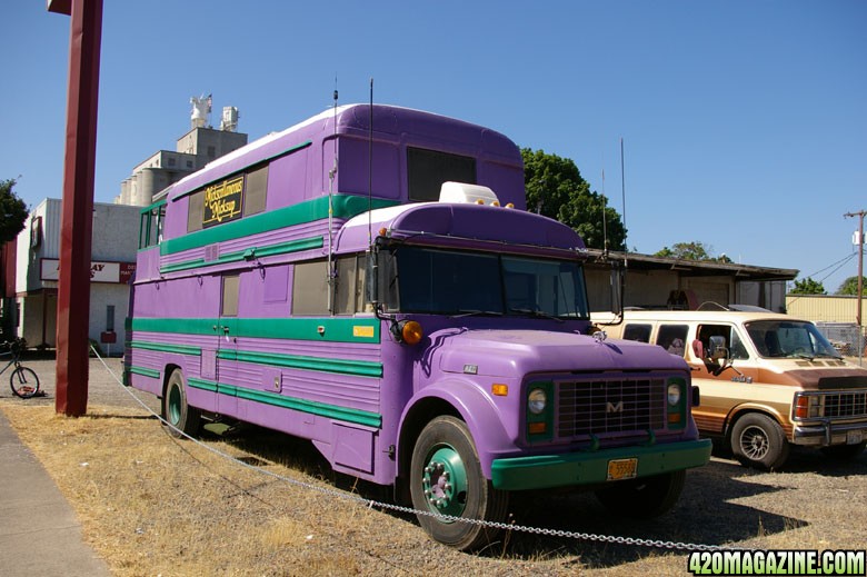Mick's Purple Bus