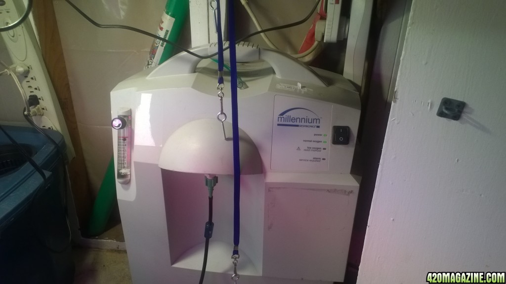 my oxygen concentrator