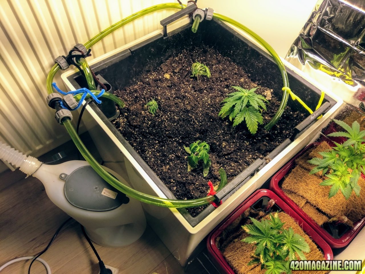 New auto watering system