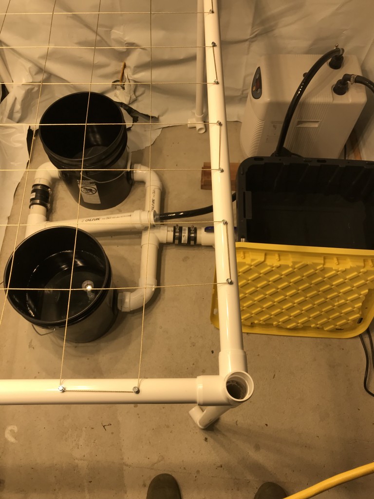 New DIY 2-Bucket Under Current RDWC