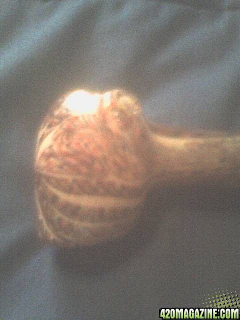 New pipe