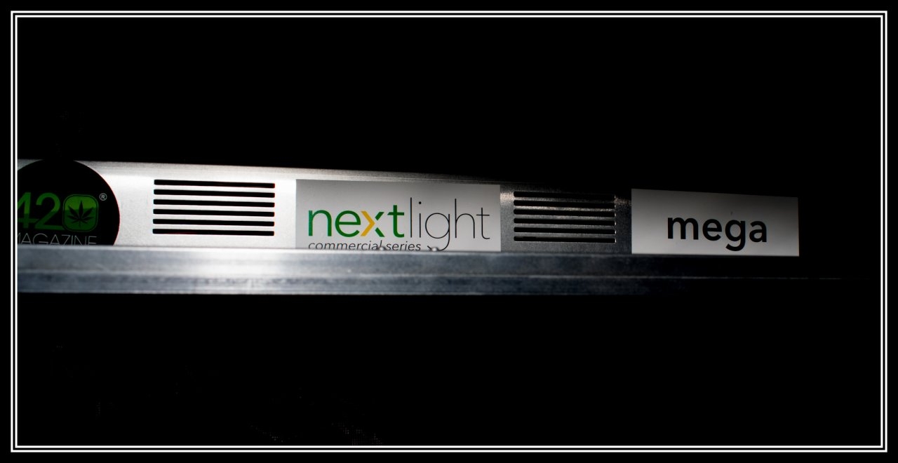 NextLight Mega