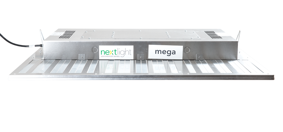 Nextlight Mega