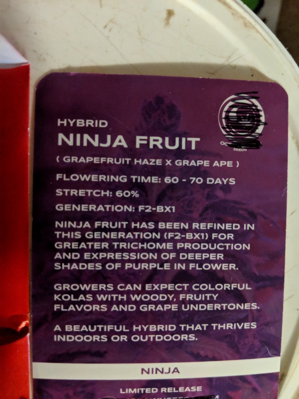 Ninja Fruit 2.0_2.jpg