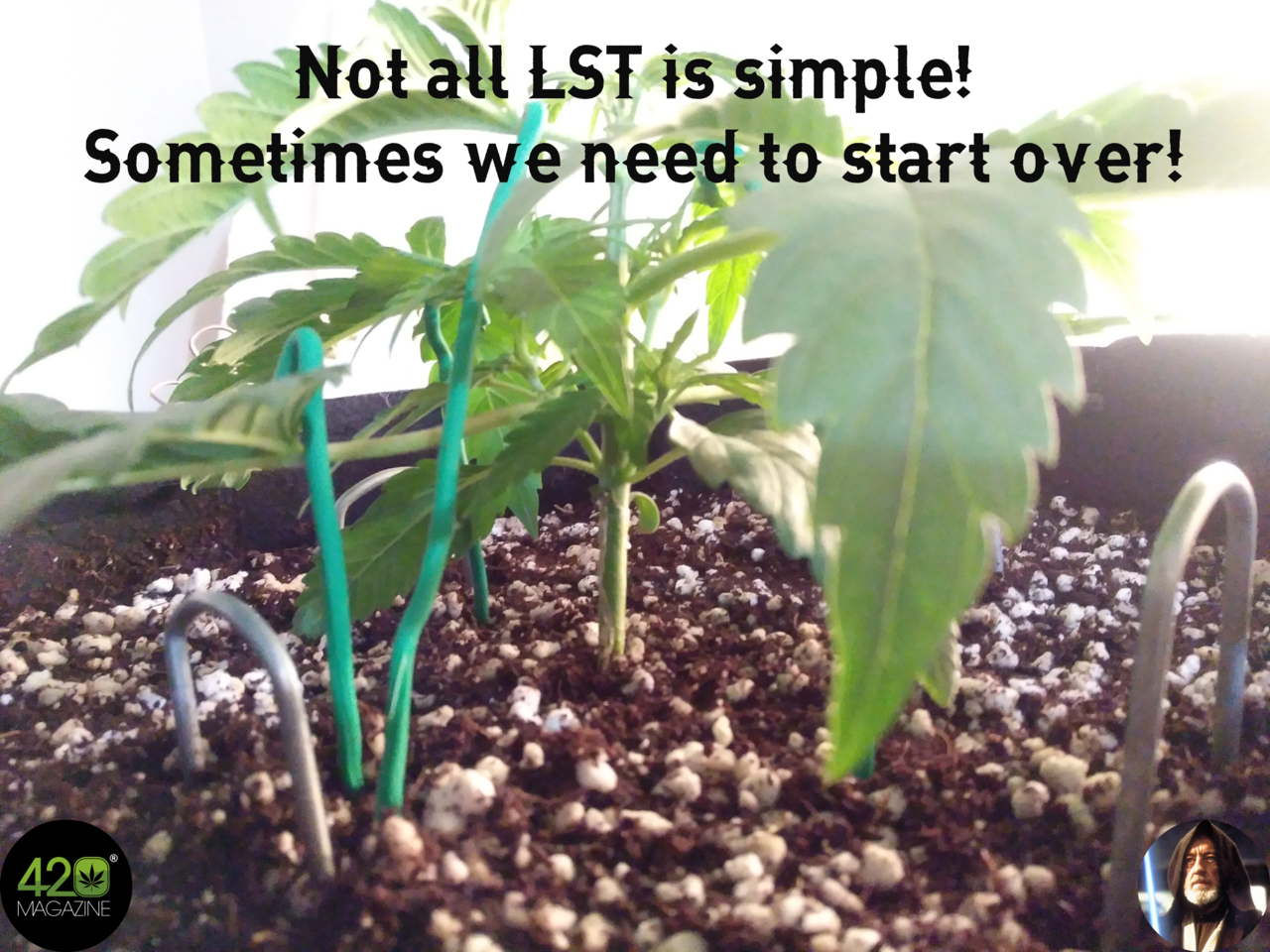 Not all LST is simple.