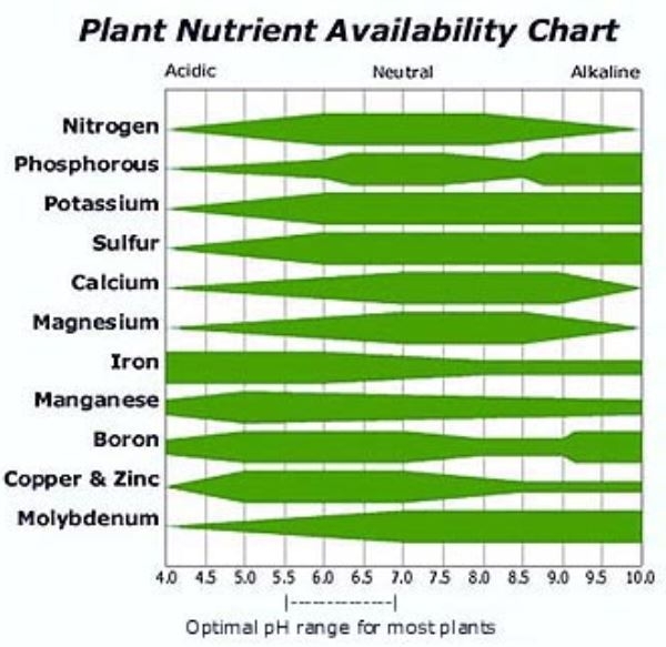 Nutrient Availability Chart.JPG