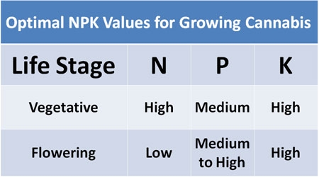 optimal-npk-values-growing-cannabis-sm.jpg