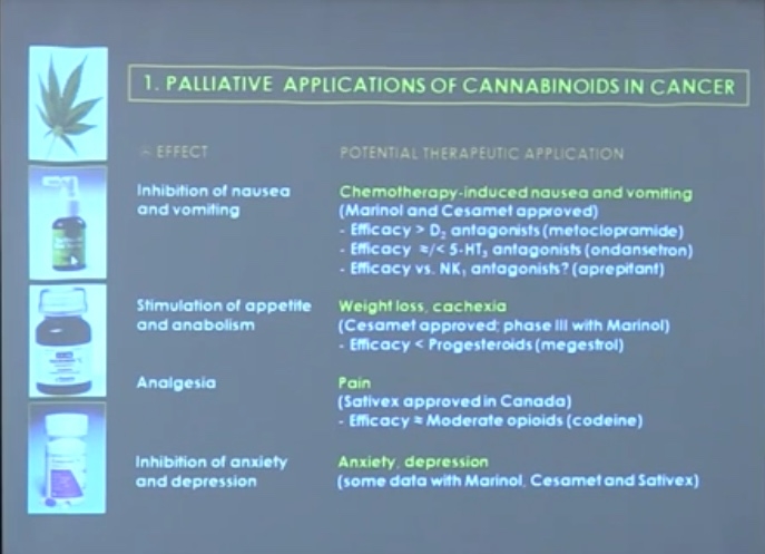 Palliative applications of cannabinoids in cancer