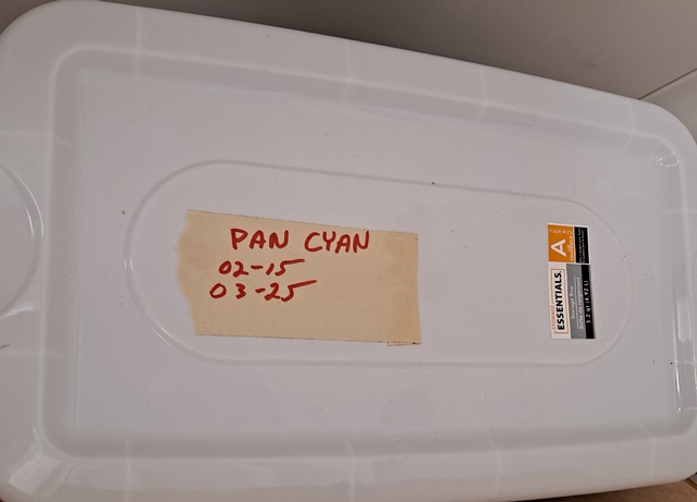 Pan Cyan 03-30.jpg