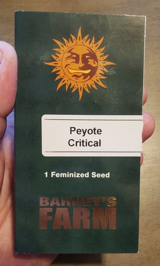 Peyote Critical From Seedsman