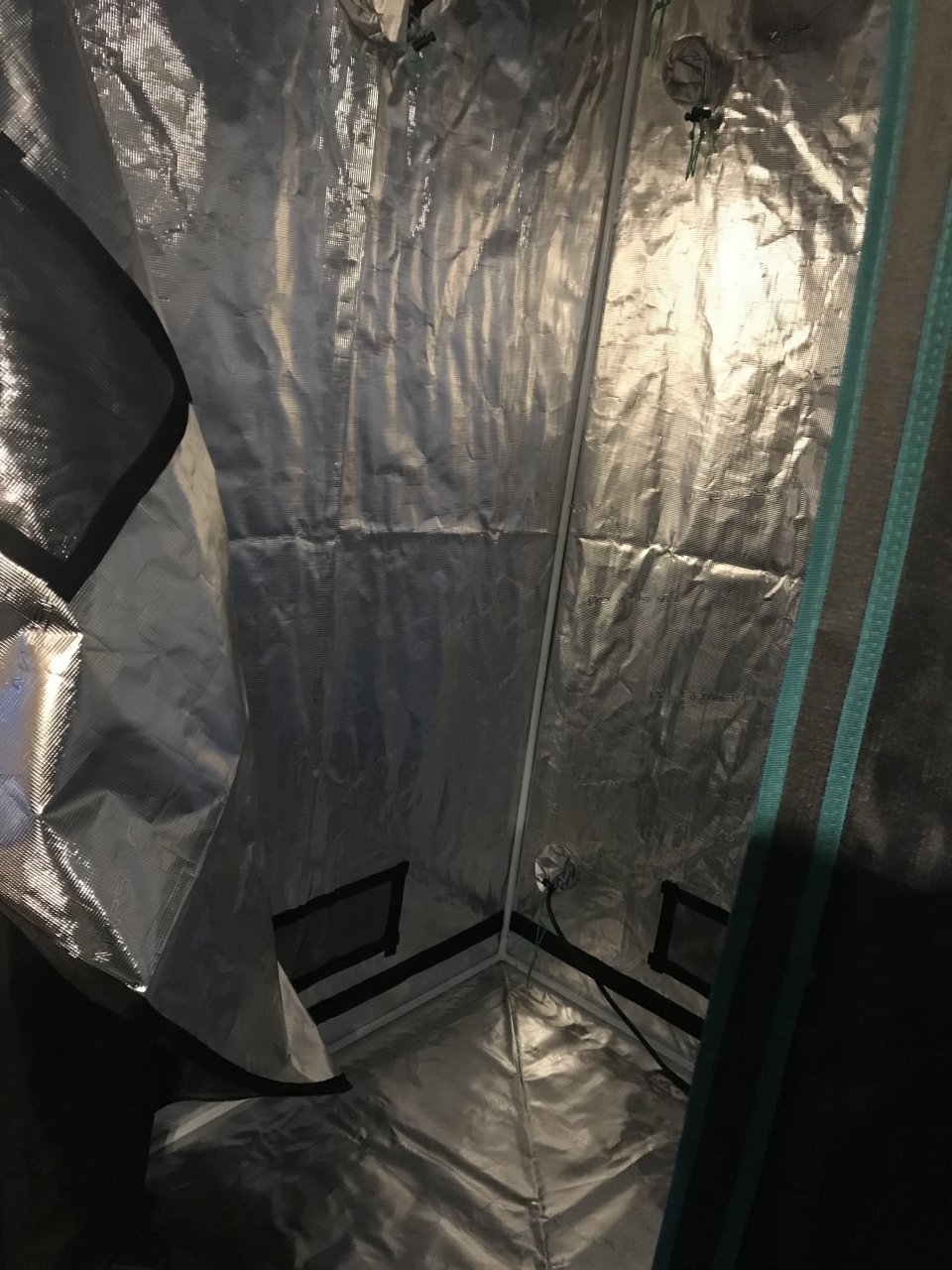 Photo 3 - New Tent.jpg