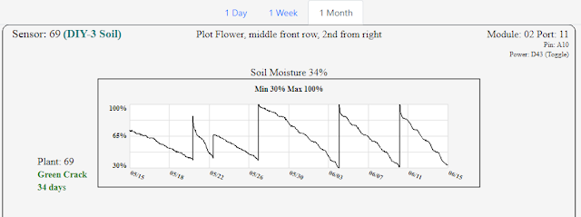 plant69_month.png