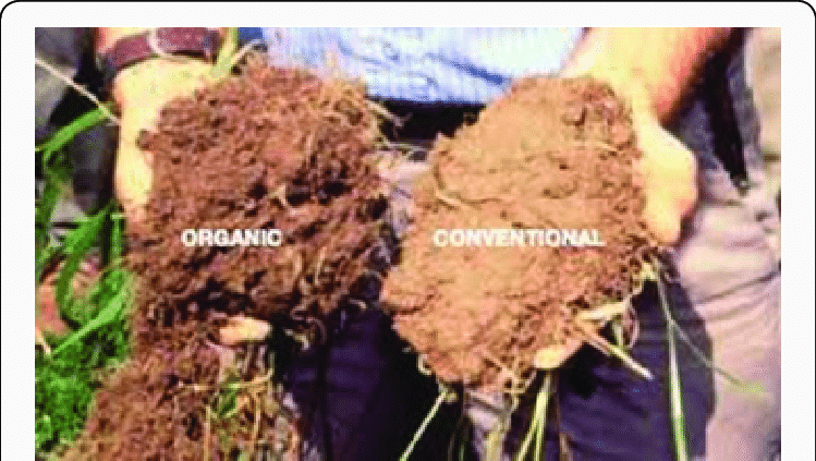 Regeneration-of-the-soil-structure-of-the-organic-farming-systems-can-be-shown-compared.png