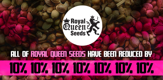 Royal Queen Seeds offer