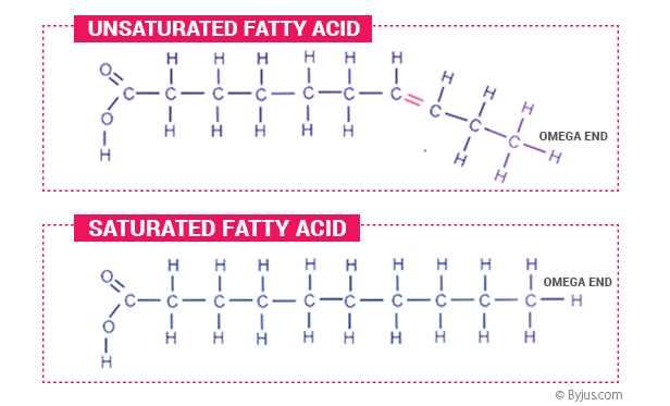 Saturated, unsaturated fatty acids