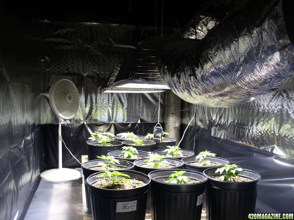 Sealed grow room