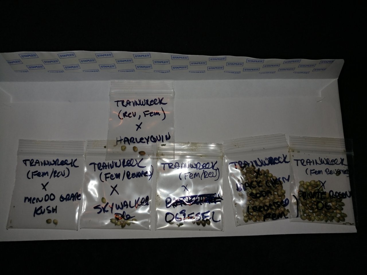 seed project cannabis marijuana icemud feminized STS silver thiosulfate