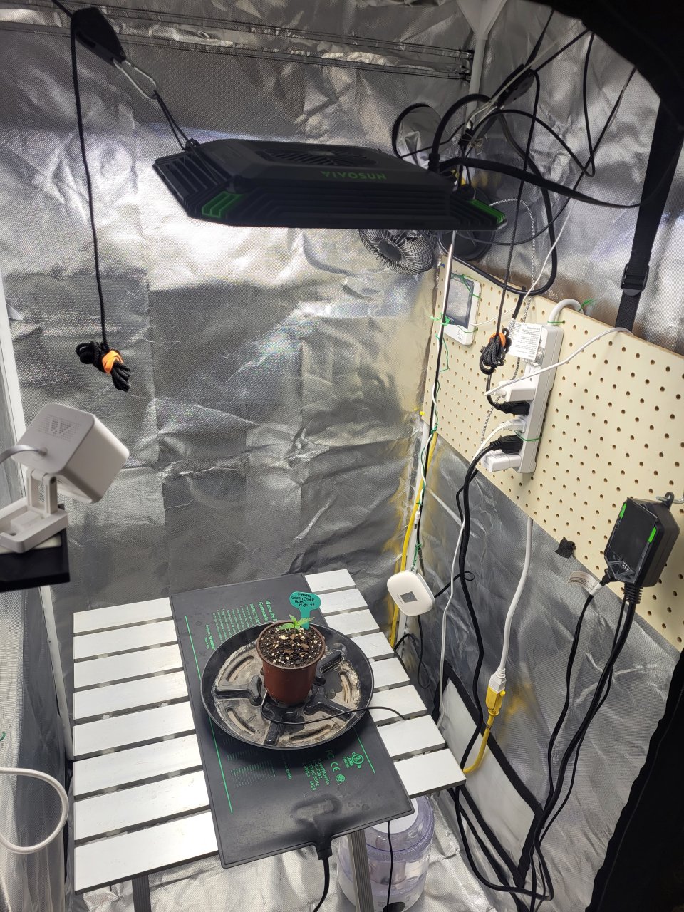 Seedling VIVOSUN Smart Grow System Heatmat AeroLight AeroZesh GrowHub.jpg