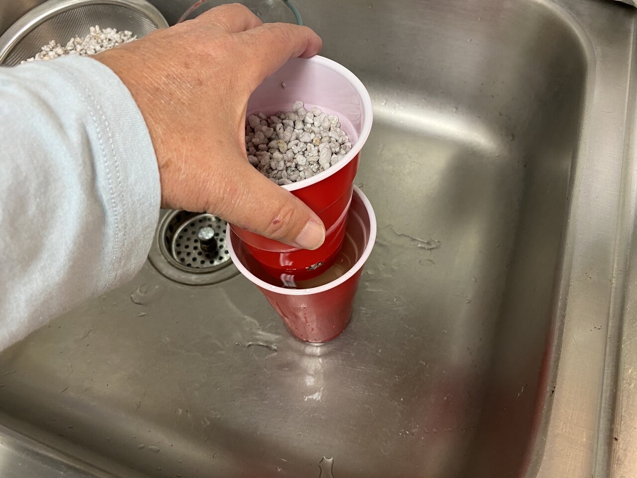 Set hempy cup into a regular cup to soak in the nutrient water.