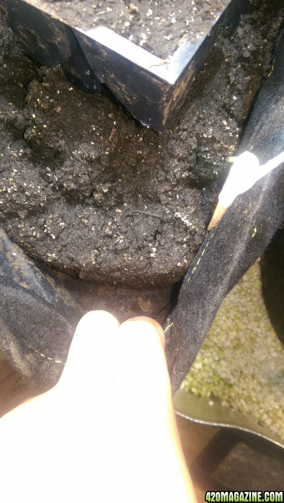 Soil compaction