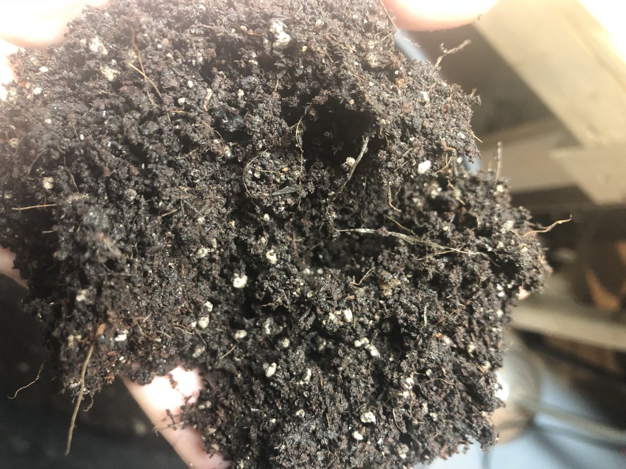Soil looking soil like