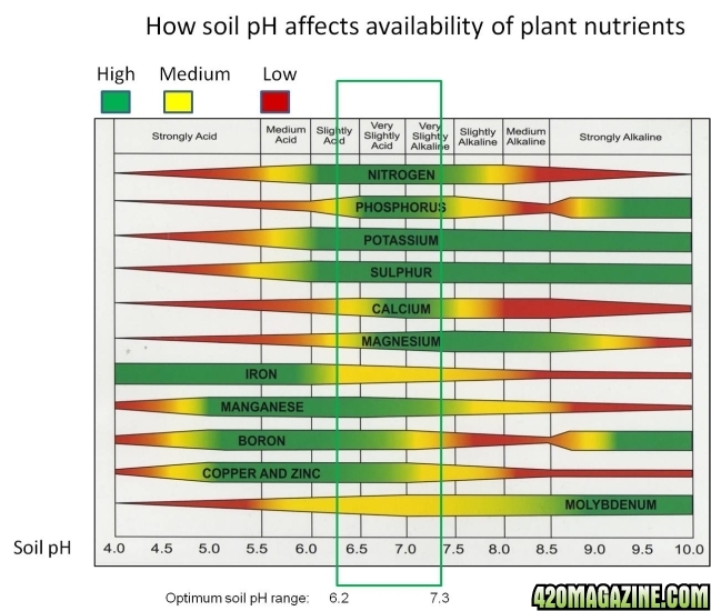 soil_ph_nutrient_availability