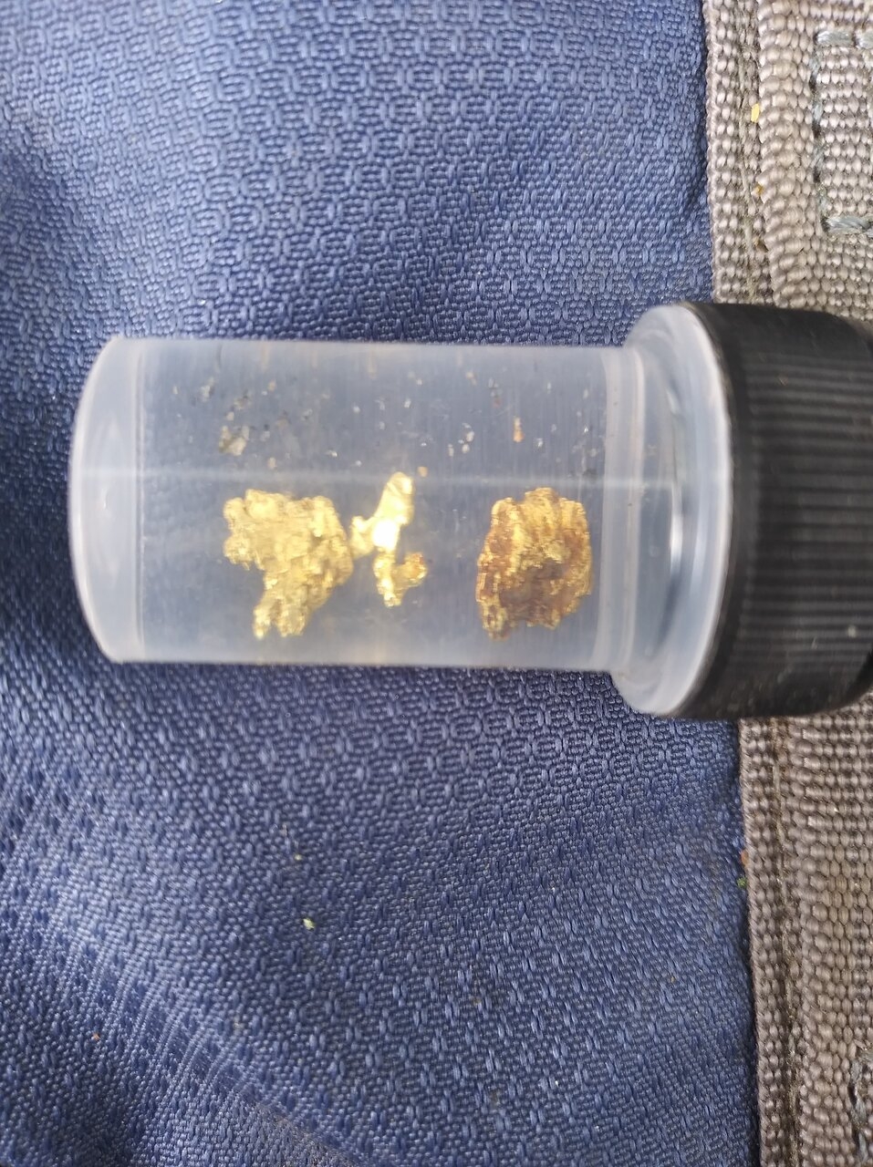 Some nice little nugs the gold kind