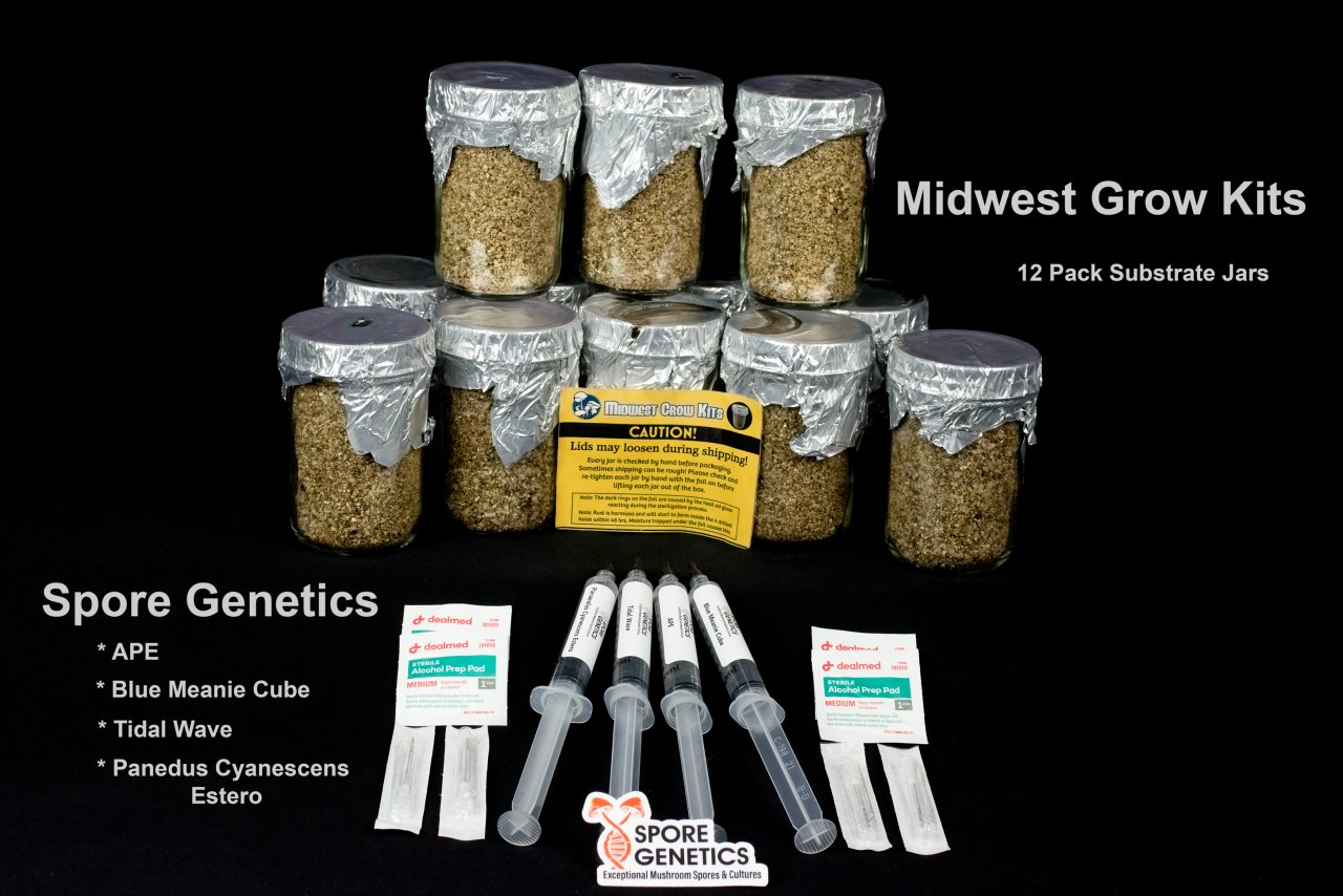 Spore Genetics syringes and substrate jars.jpg