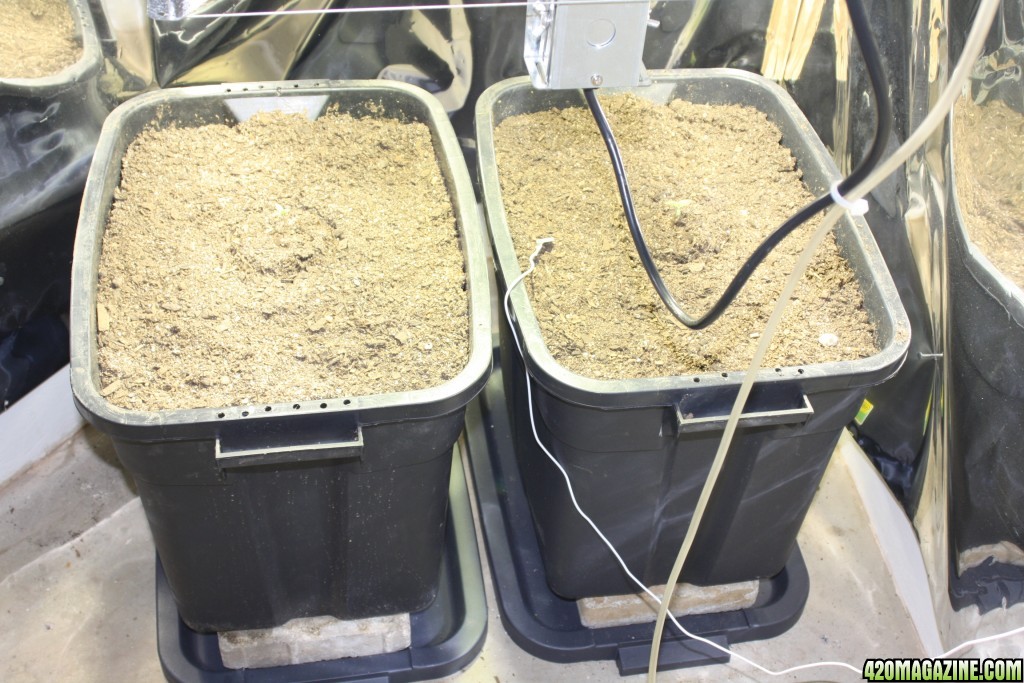 Square Grow bins 48cml/36cmw/40cmh 11.88 gallon