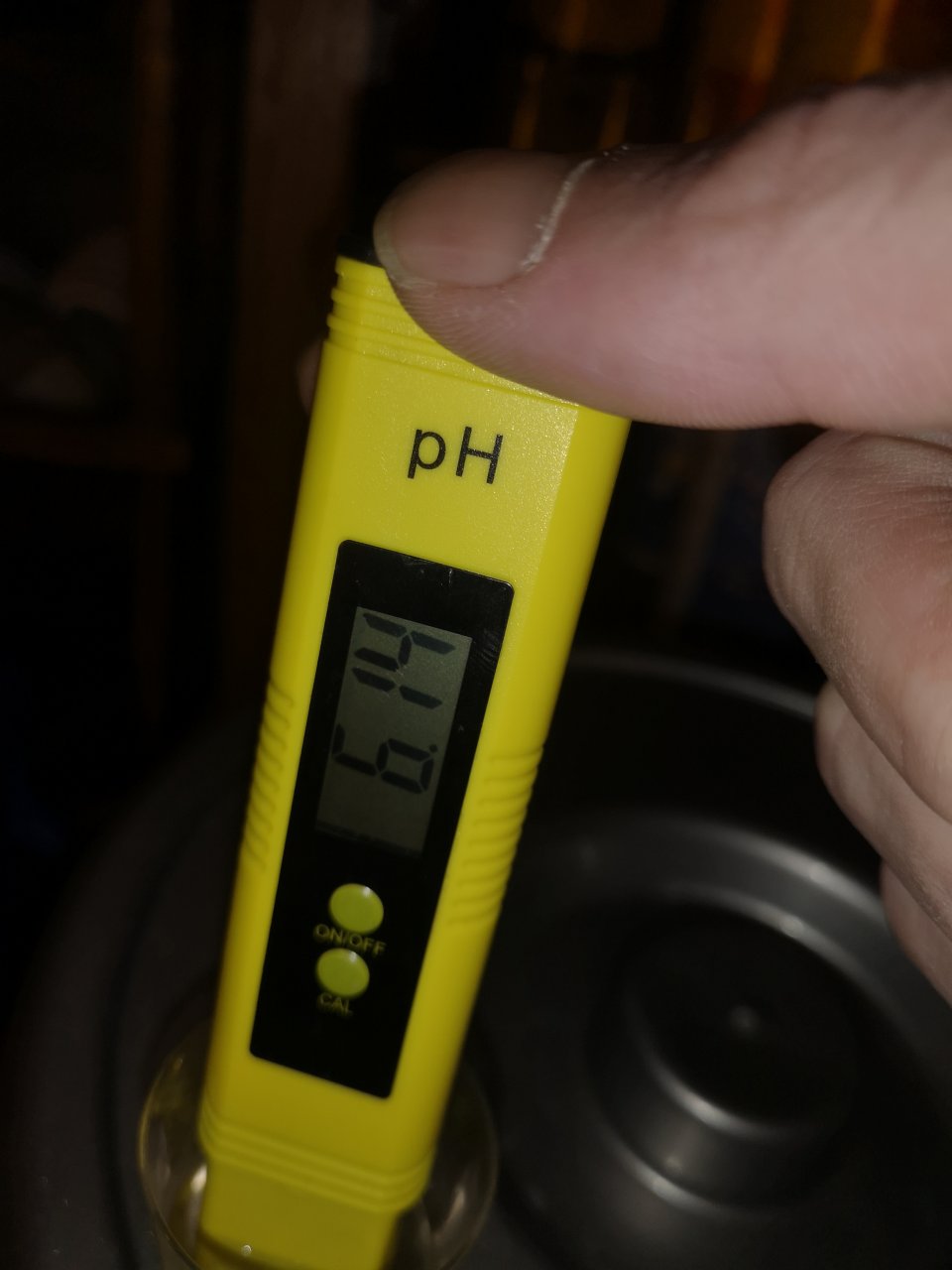 SSH - d12 - pH