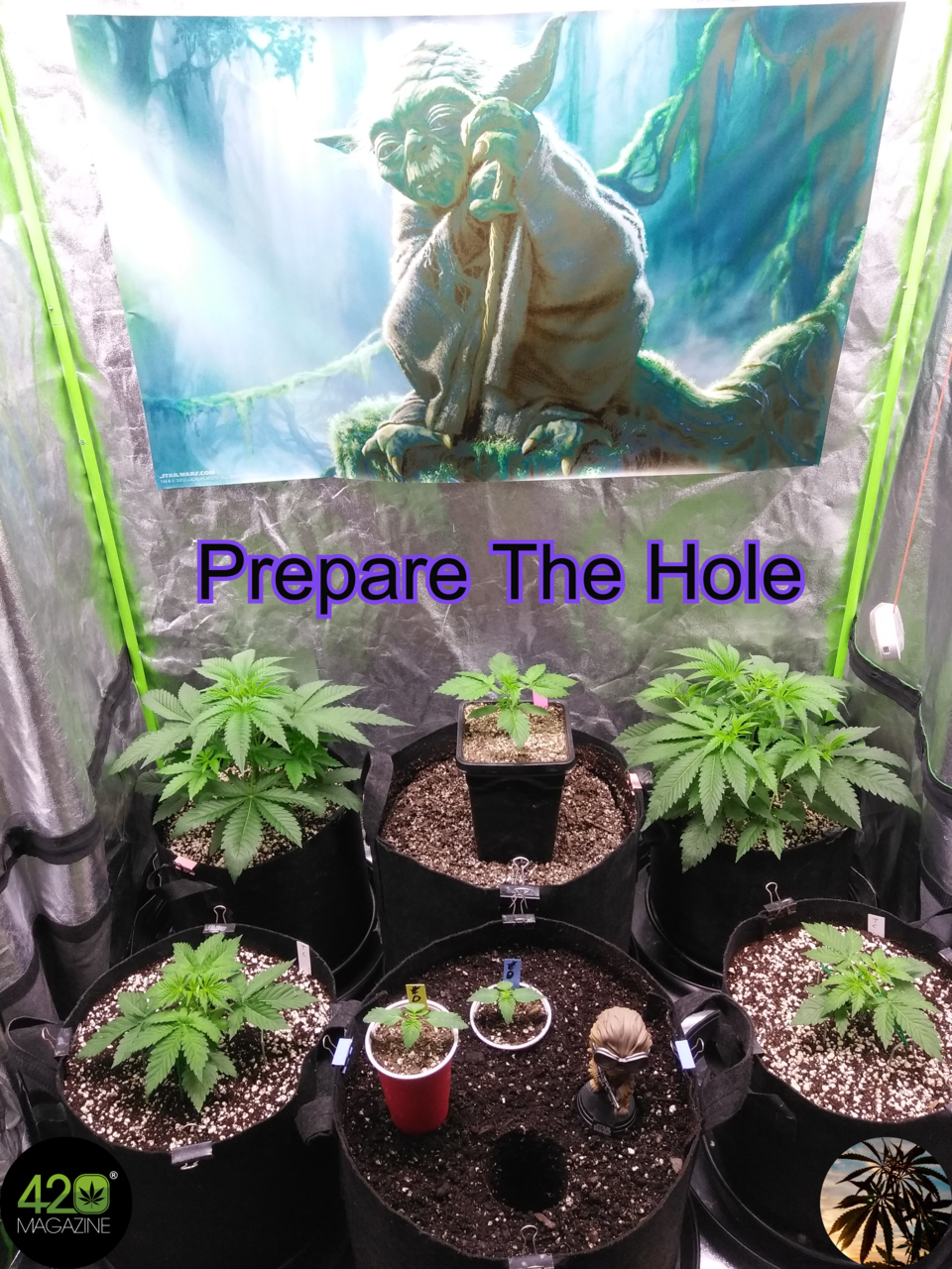 Step 2:  Prepare The Hole