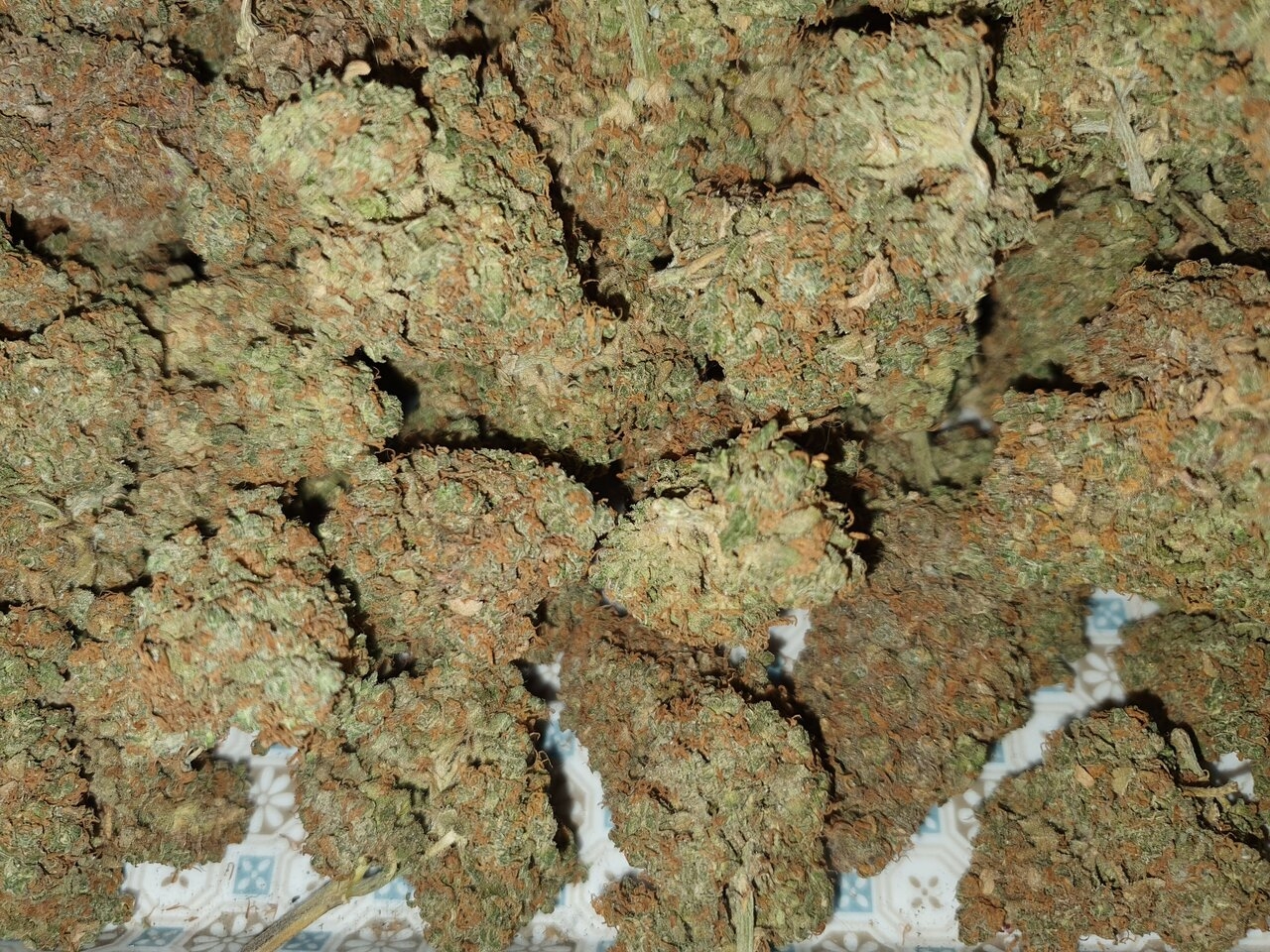 The rest of the other green crack
