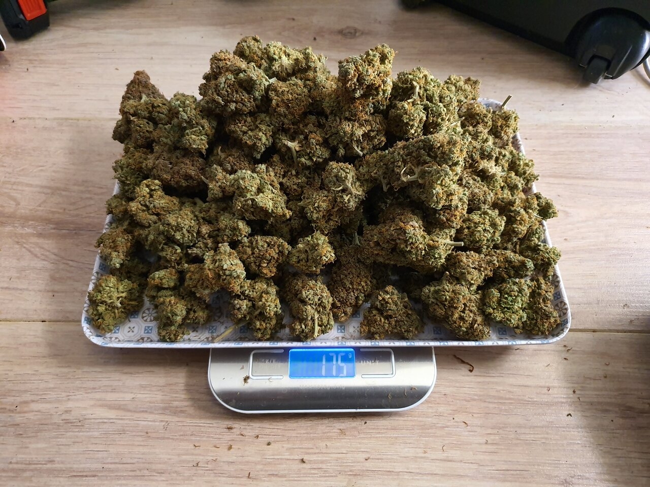 The rest of the other green crack