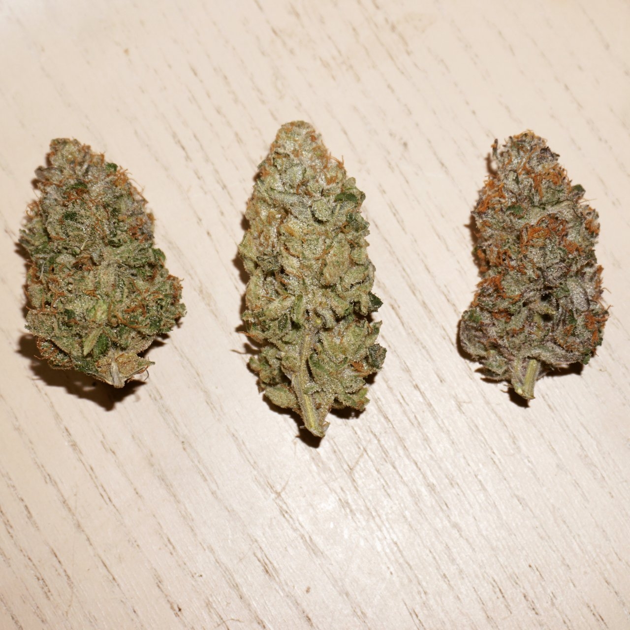 Three different nugs from three phenotypes found in seeds I made last year All fire