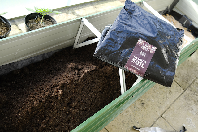Top Layer - Herbi's living soil