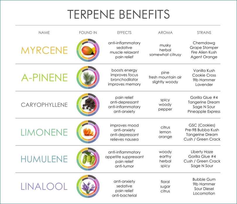 types-of-terpenes.jpg
