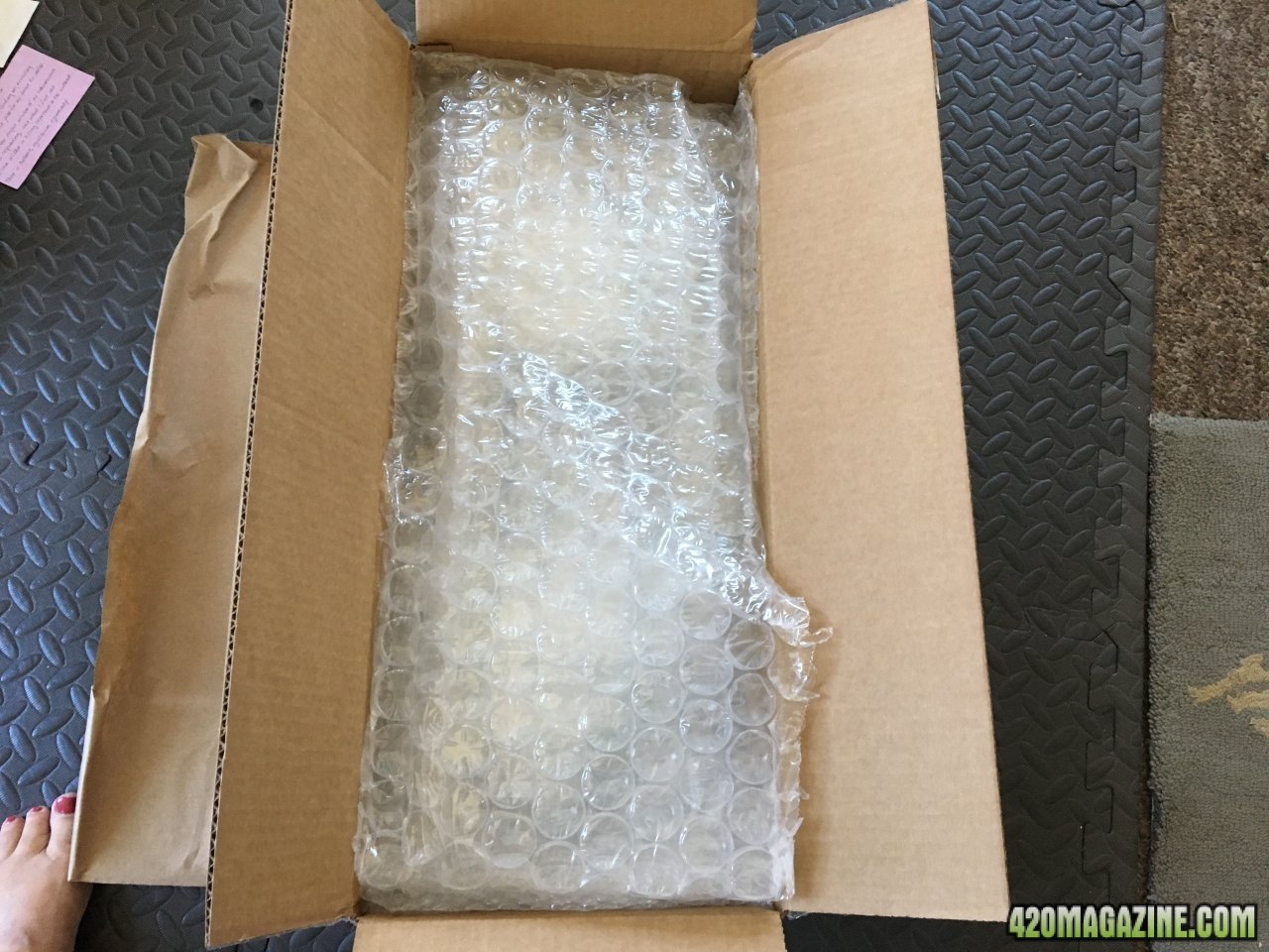 Unboxing Timber Grow Lights