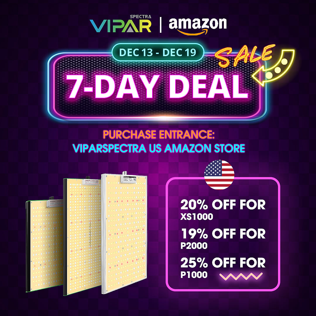ViparSpectra-7 day deal.jpg